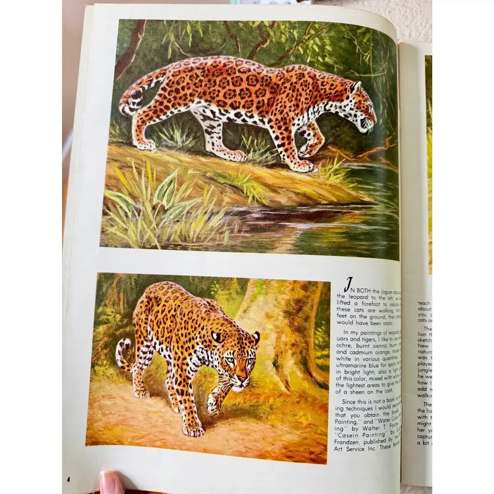 The Cats In Action by Walter J. Wilwerding Walter T. Foster Art Books #70